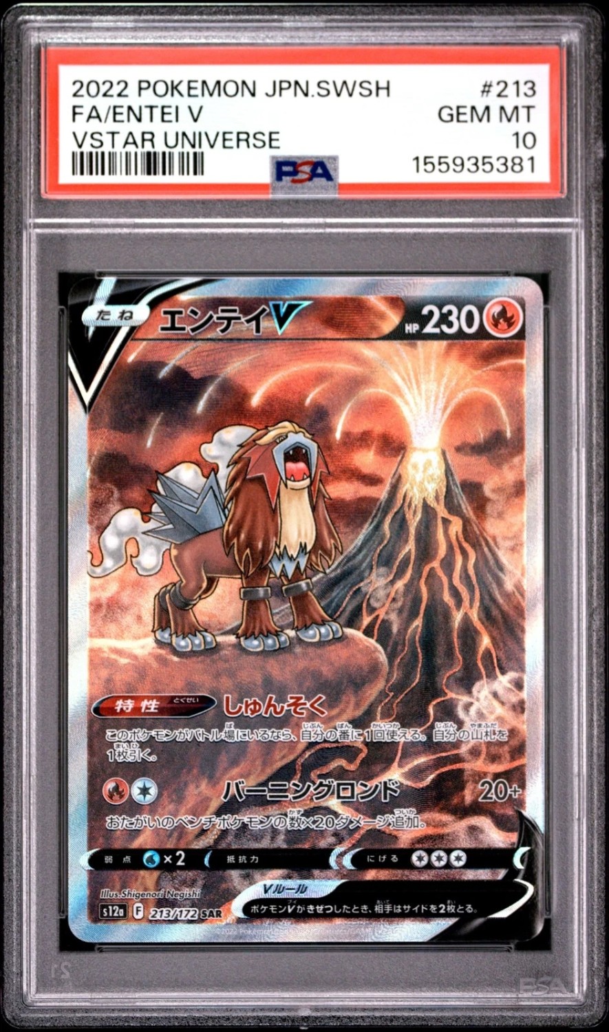Entei V