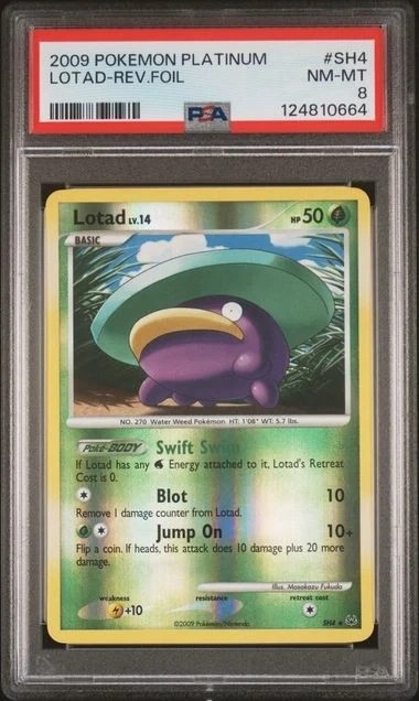 Lotad