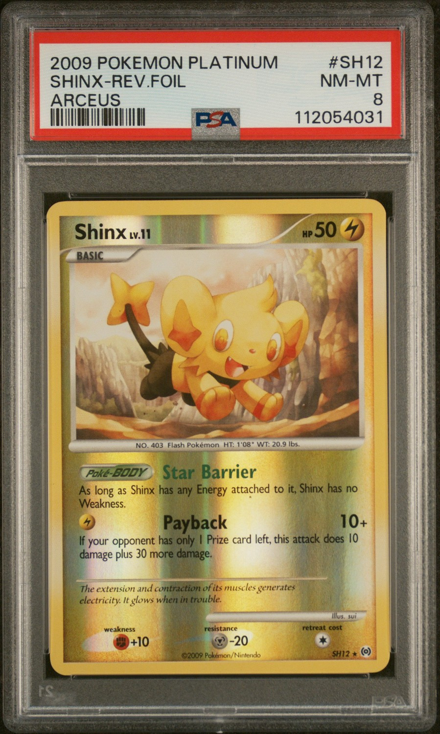 Shinx