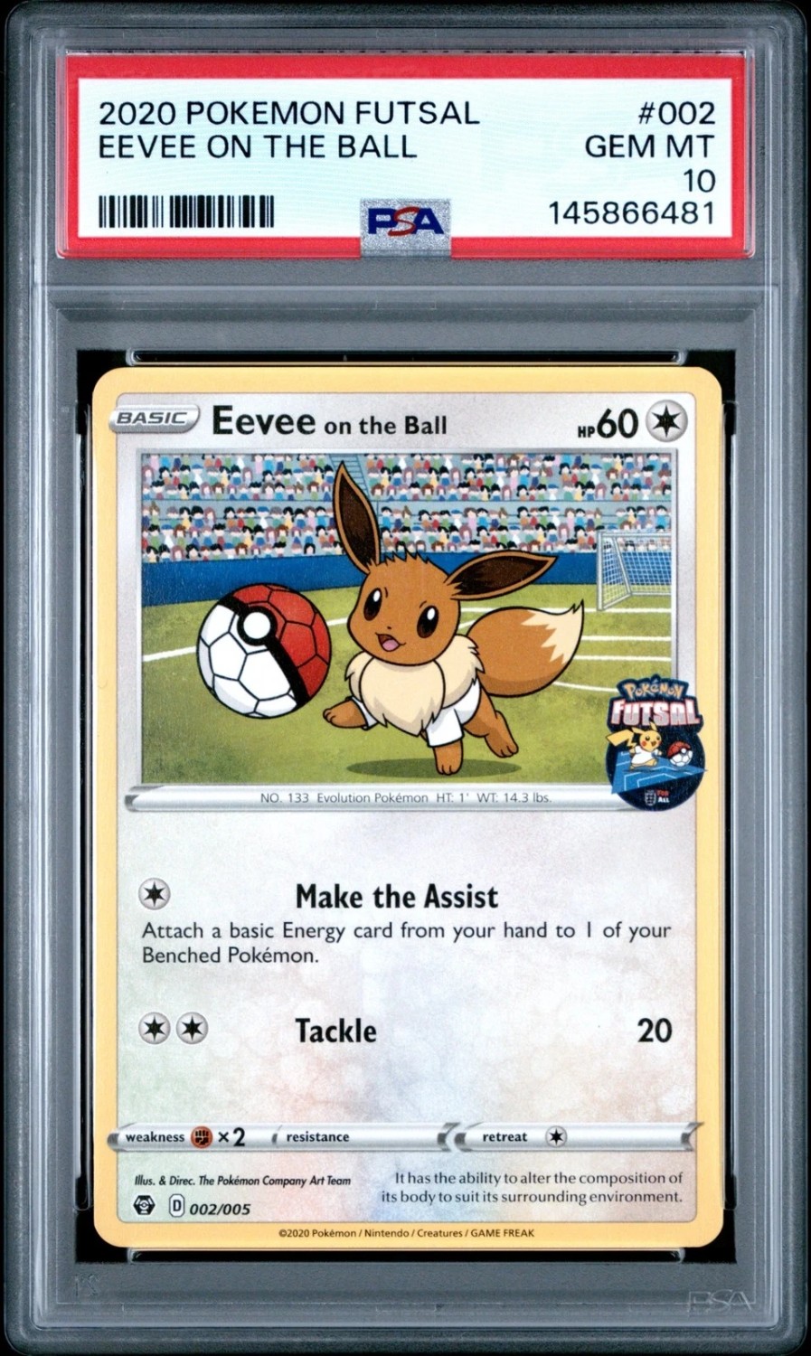 Eevee On The Ball