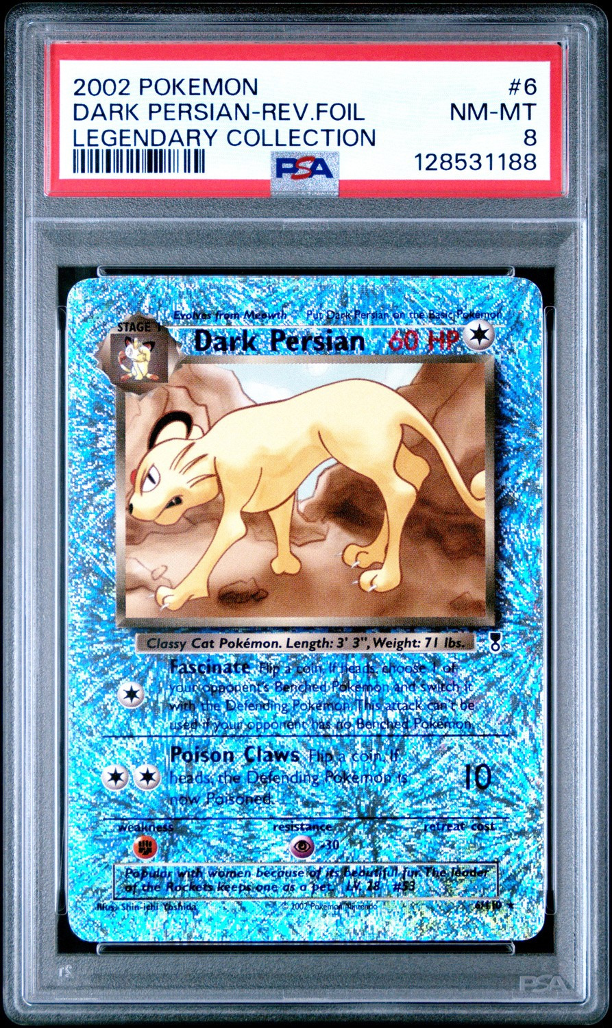 Dark Persian