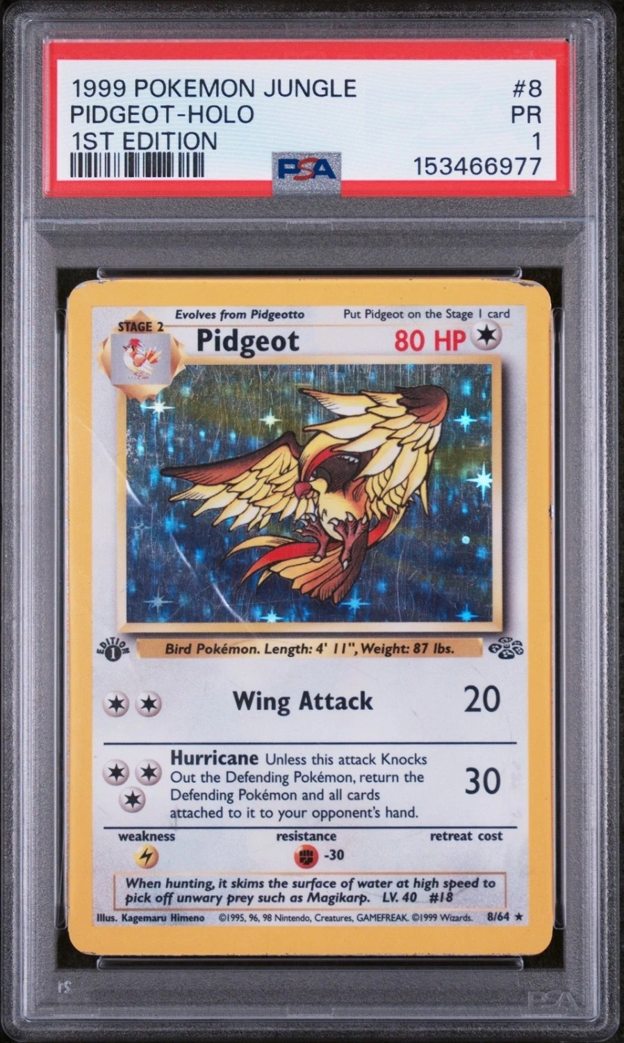 PIDGEOT