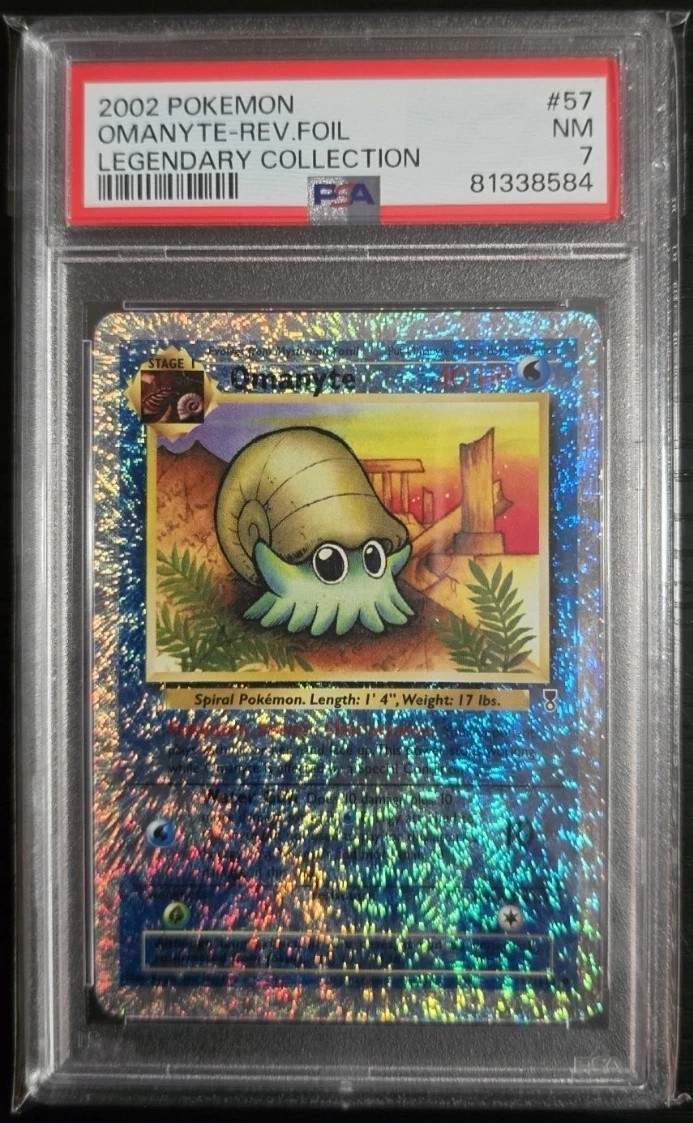 Omanyte