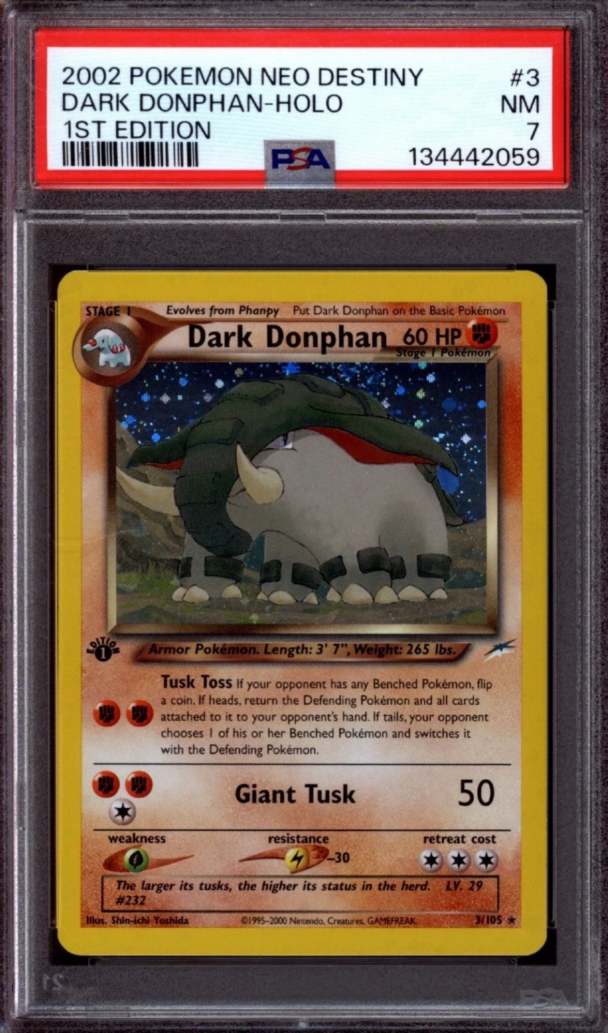 Dark Donphan