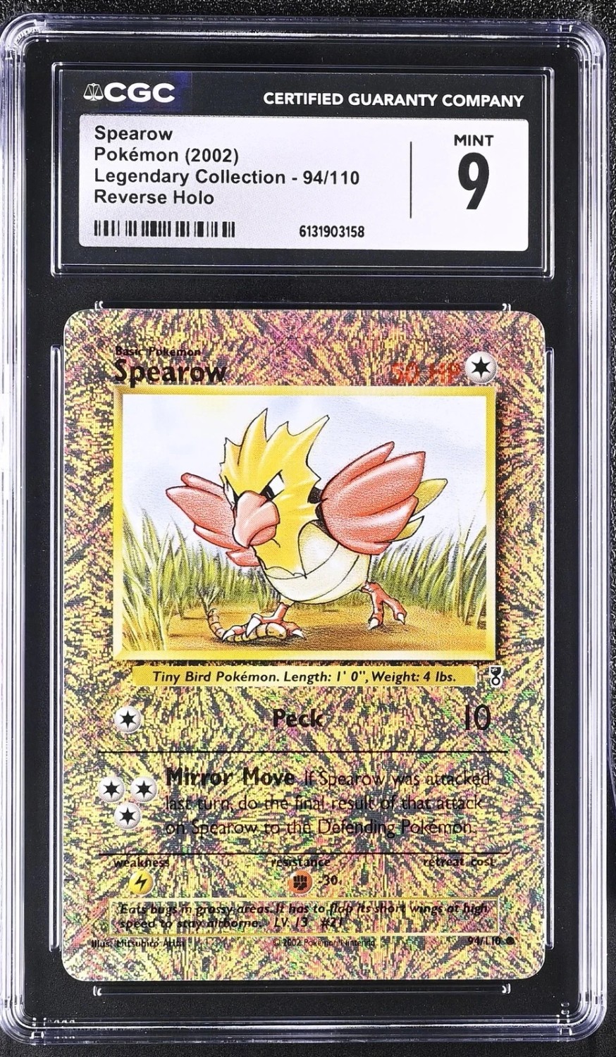 Spearow