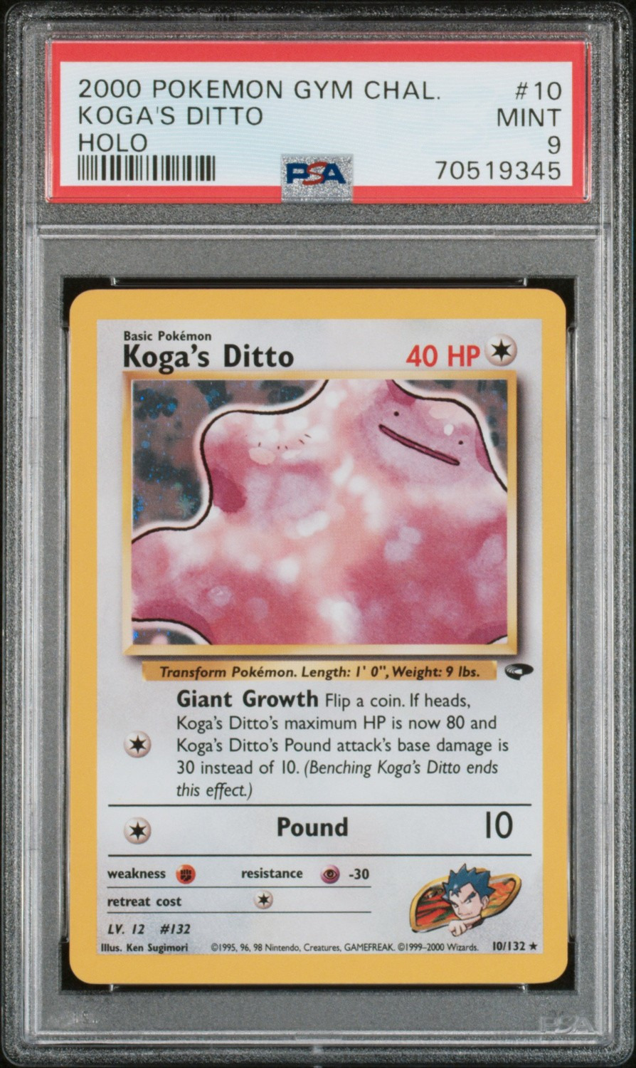Koga's Ditto
