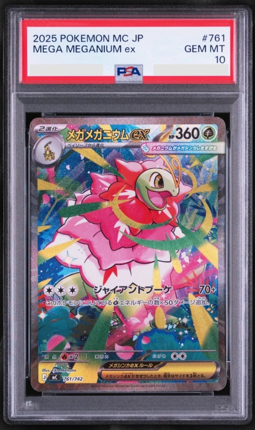 MEGA MEGANIUM ex