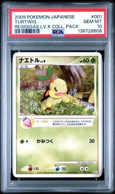 Turtwig