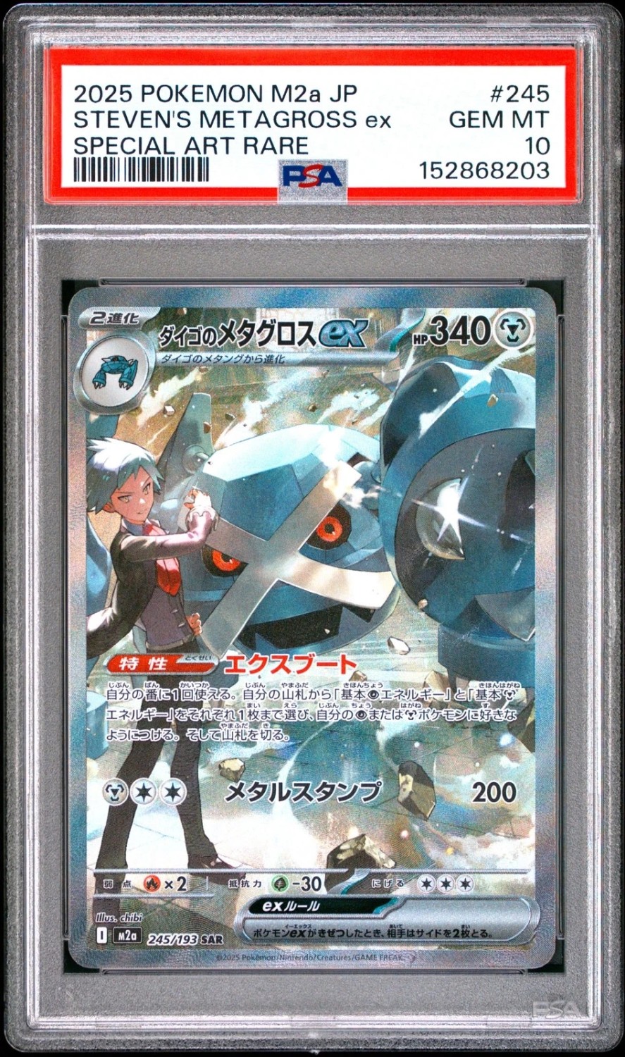 STEVEN'S METAGROSS ex