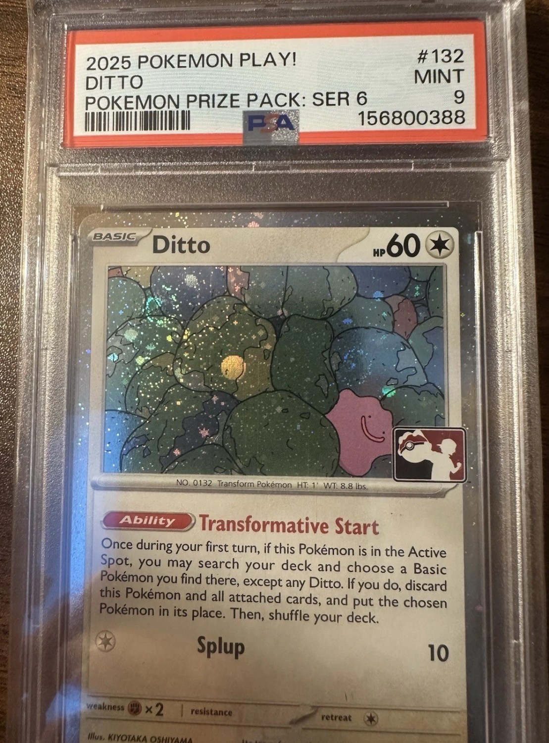 Ditto