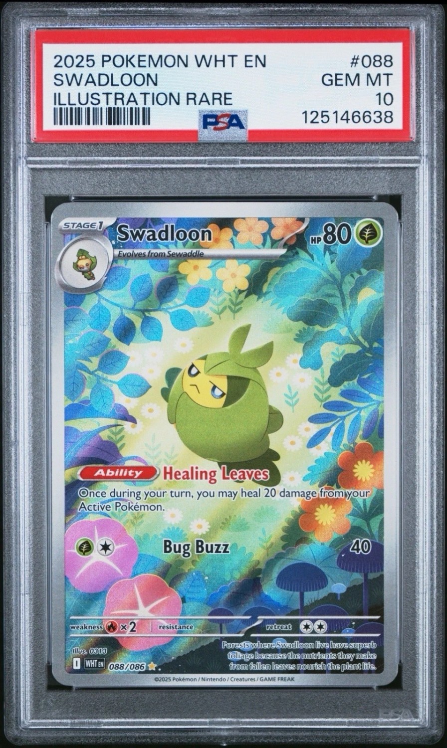Swadloon
