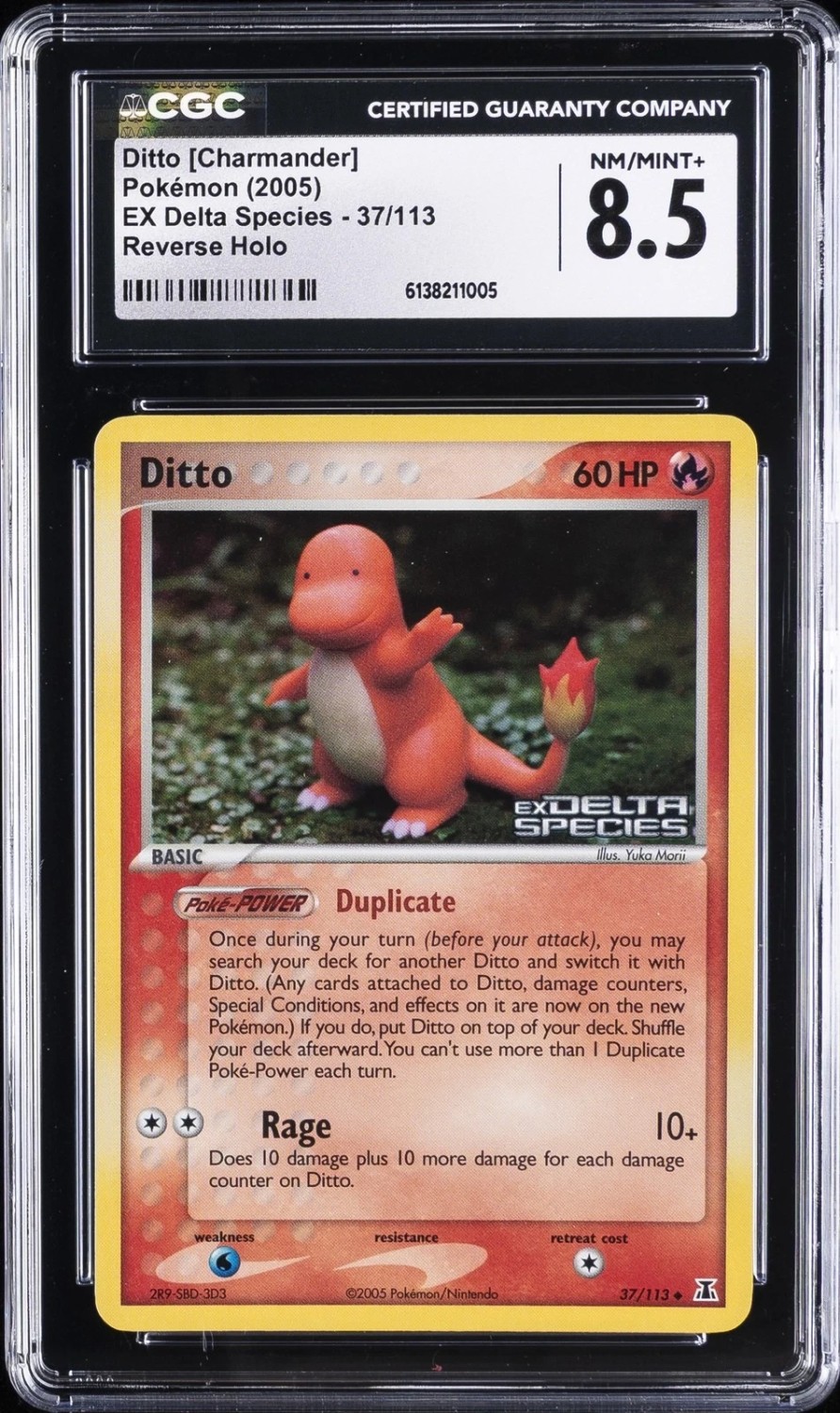 Ditto [Charmander]