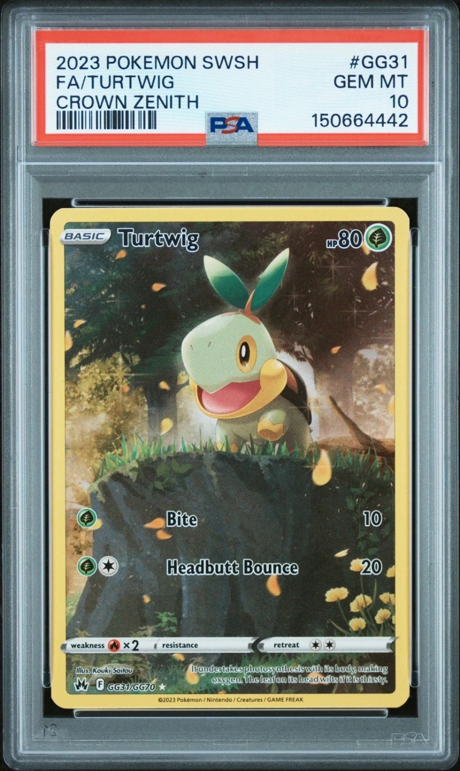 FA/TURTWIG