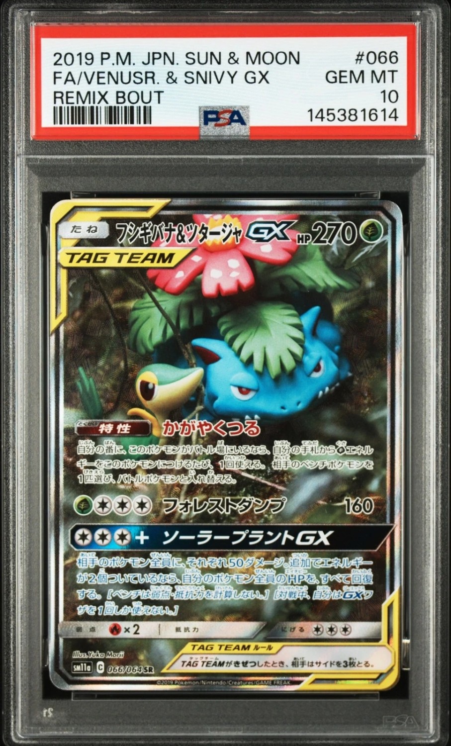 Venusaur & Snivy GX