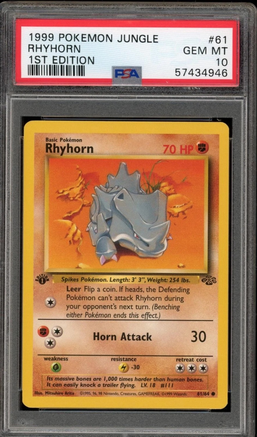 Rhyhorn