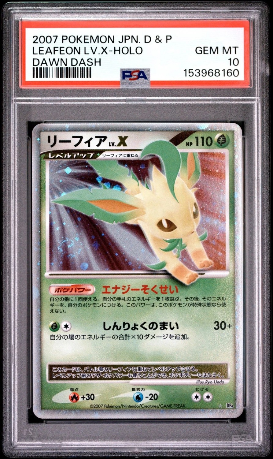 Leafeon Lv X