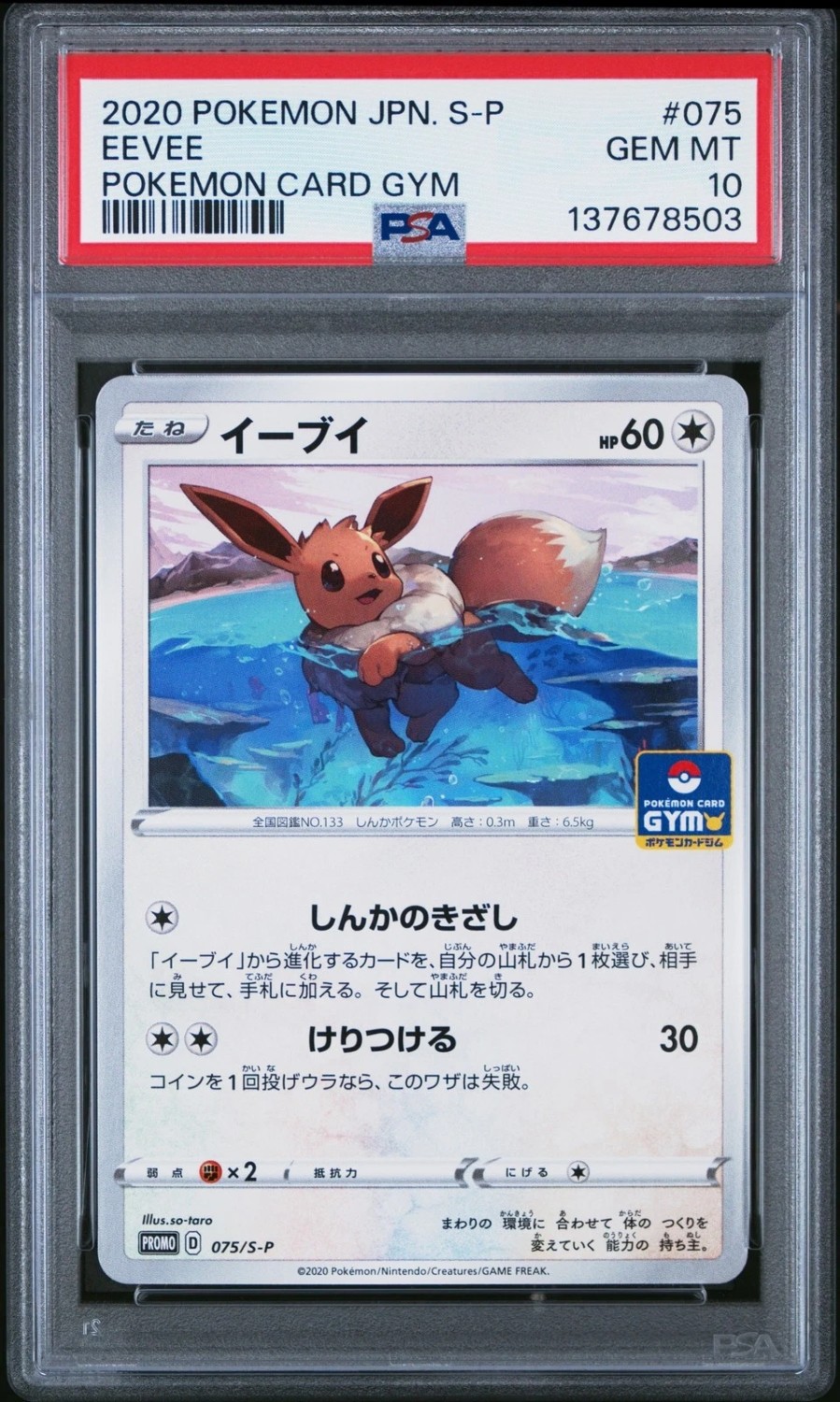 Eevee