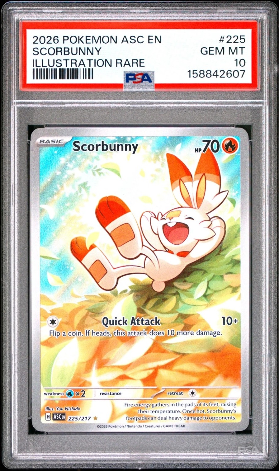 Scorbunny