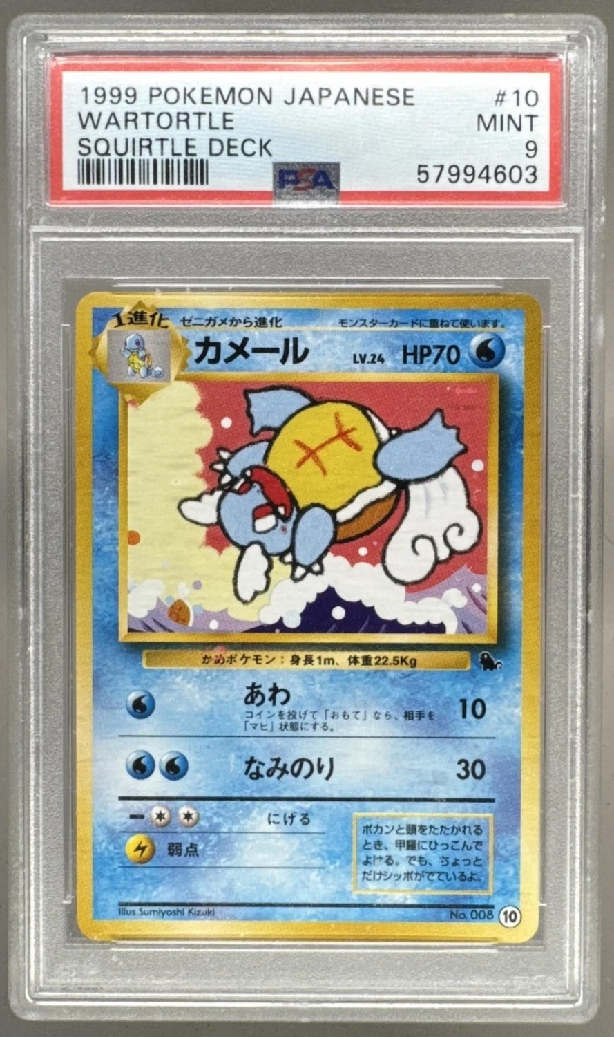 Wartortle