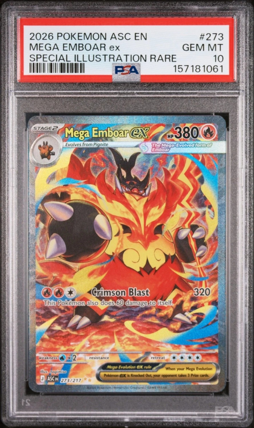 MEGA EMBOAR ex