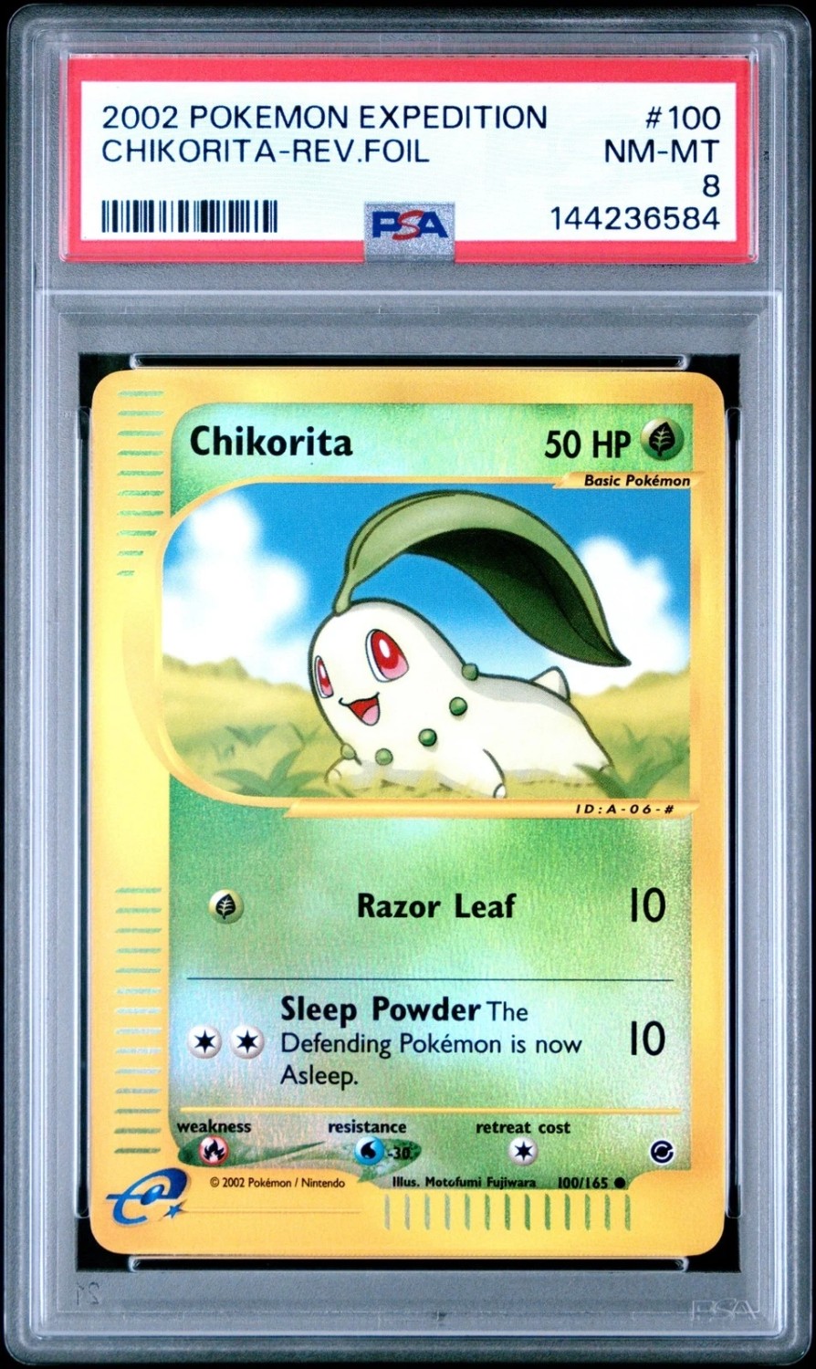 Chikorita