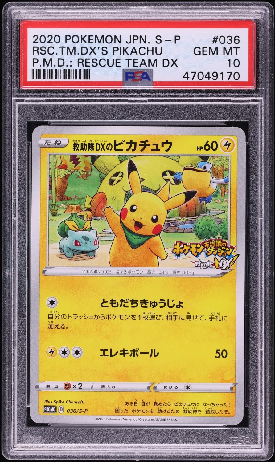 Rescue Team Dx's Pikachu