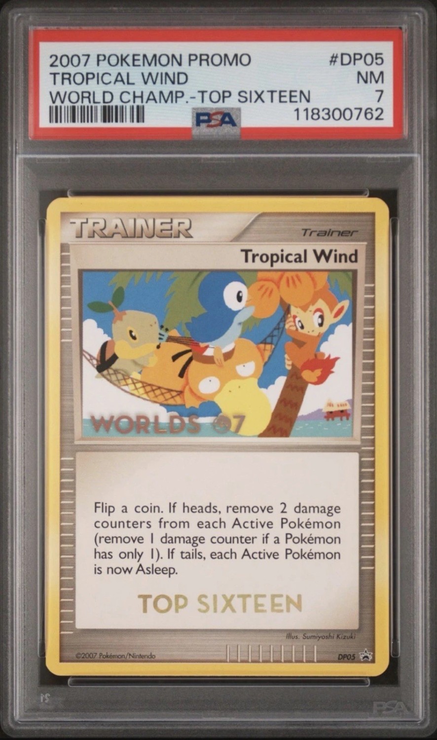 Tropical Wind