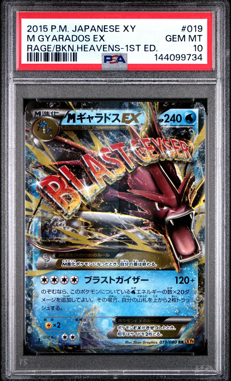M Gyarados EX