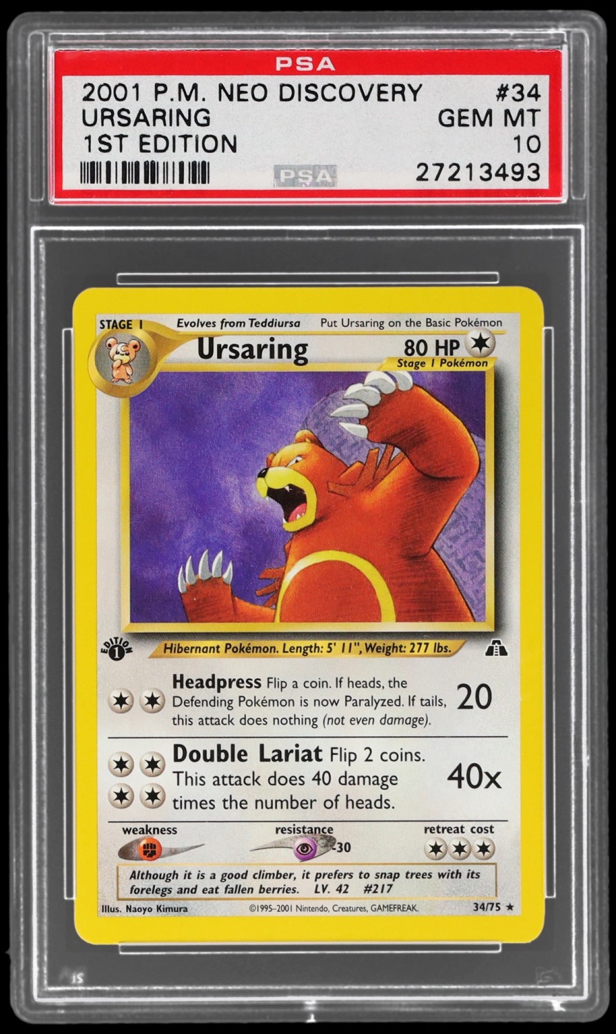 Ursaring