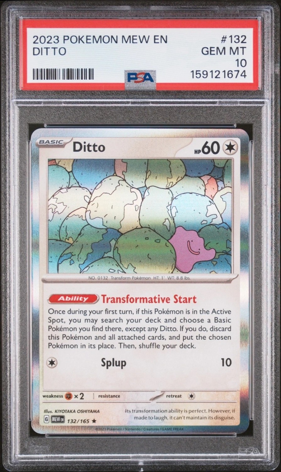 Ditto