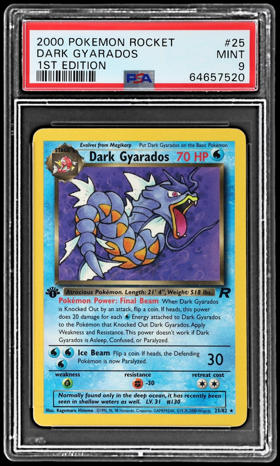 Dark Gyarados