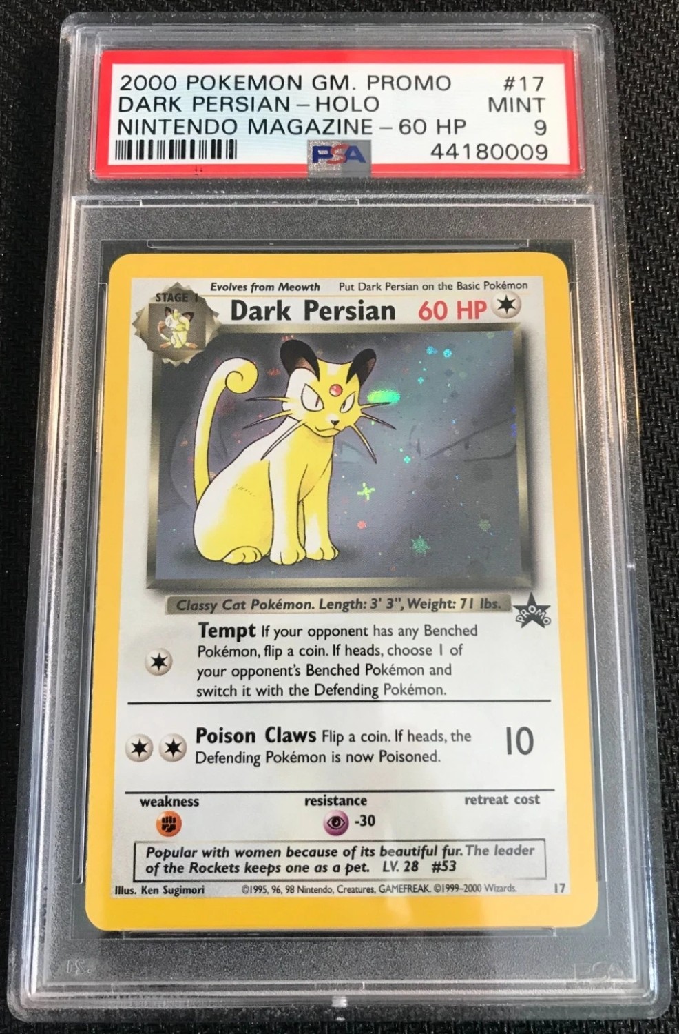 Dark Persian
