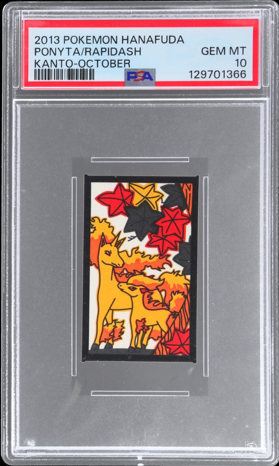Ponyta/Rapidash