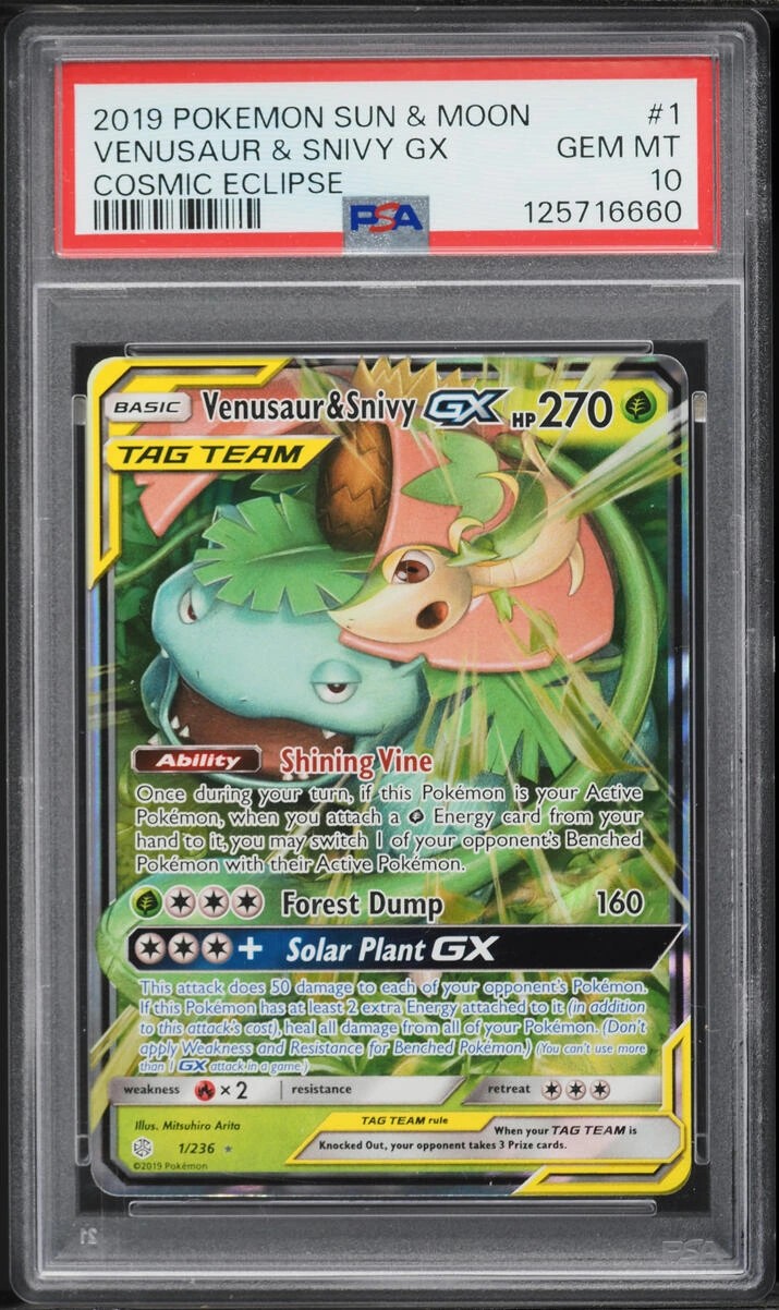 Venusaur & Snivy GX