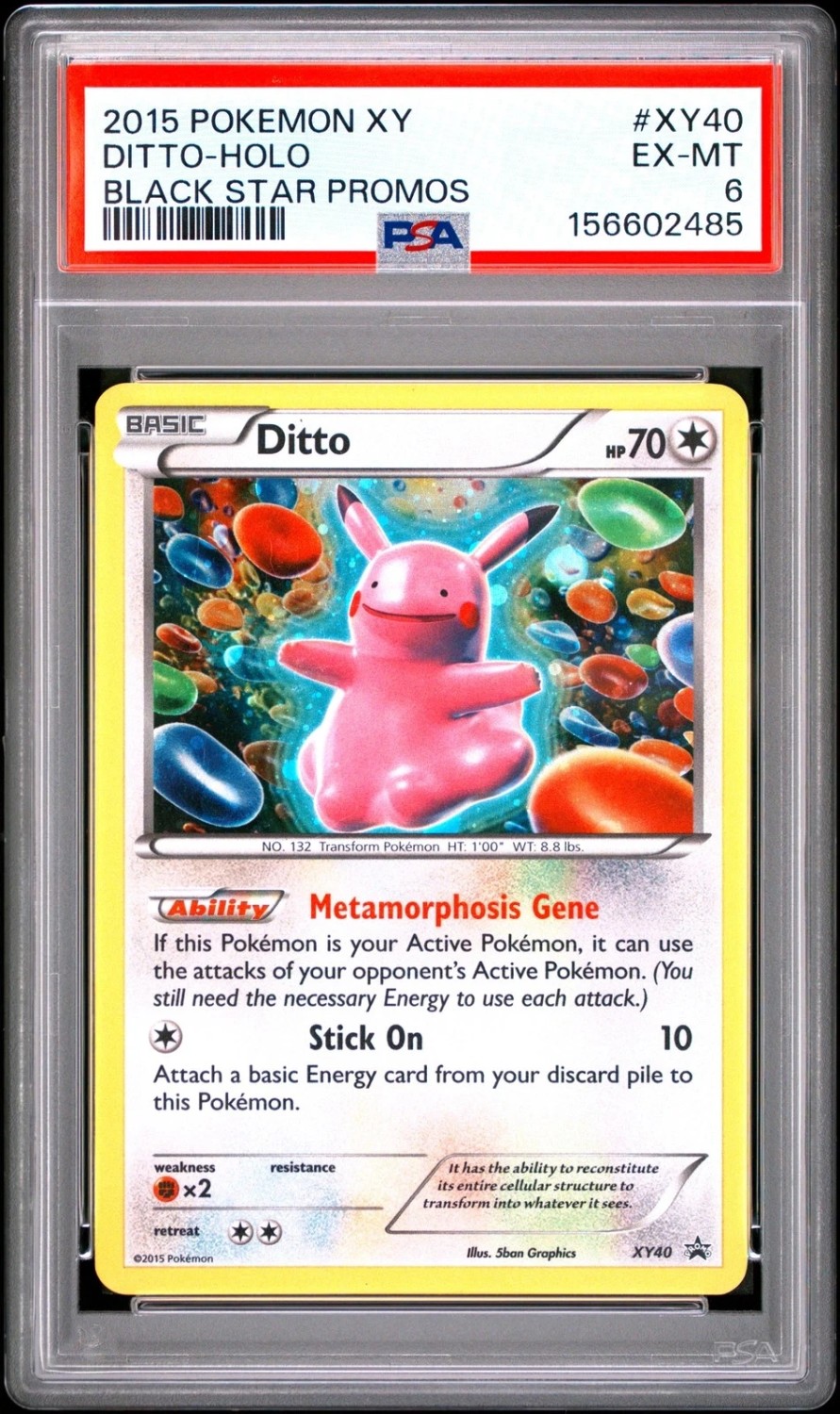 Ditto