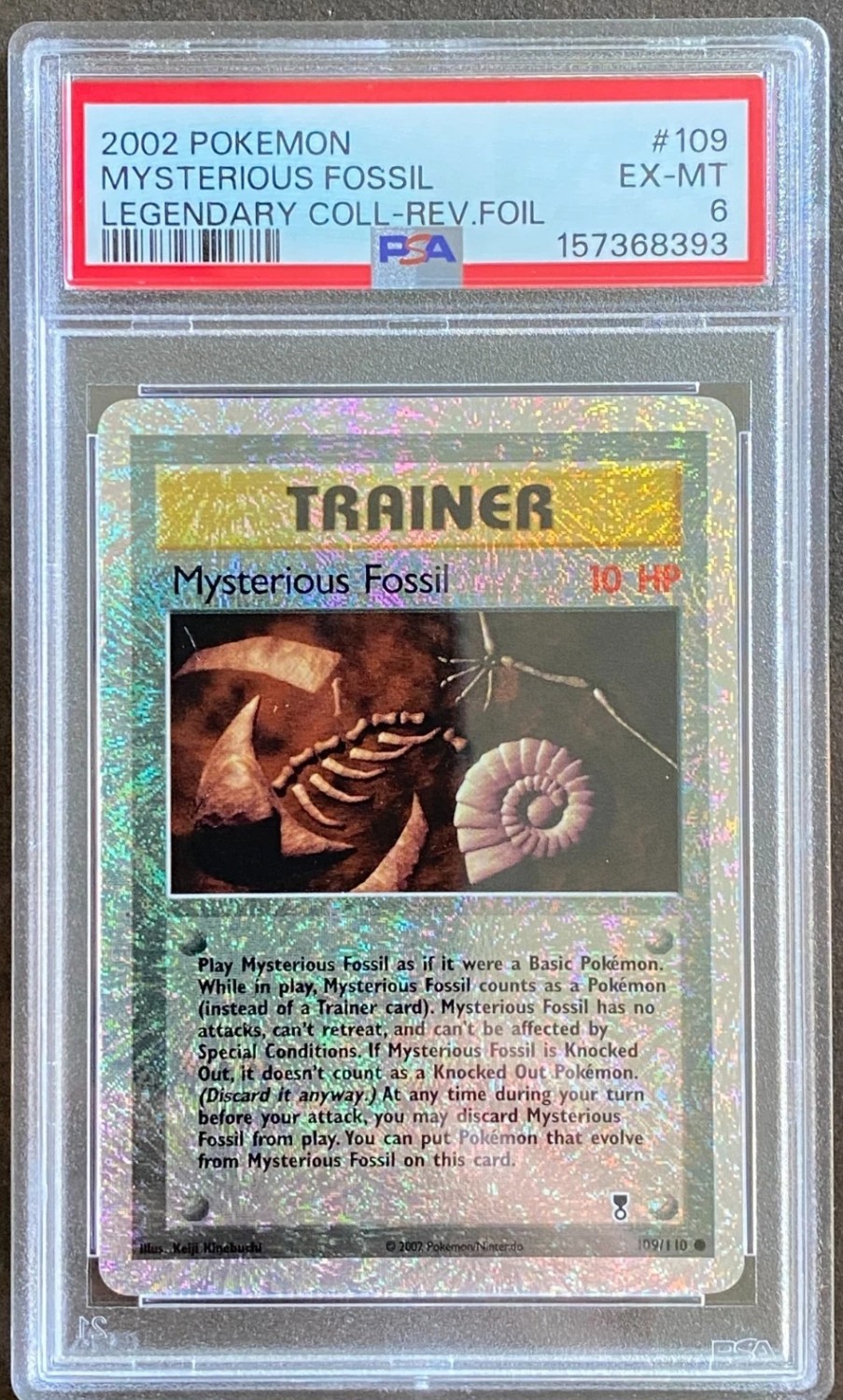 Mysterious Fossil
