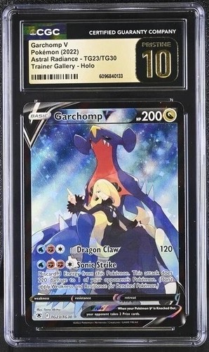 FA/GARCHOMP V