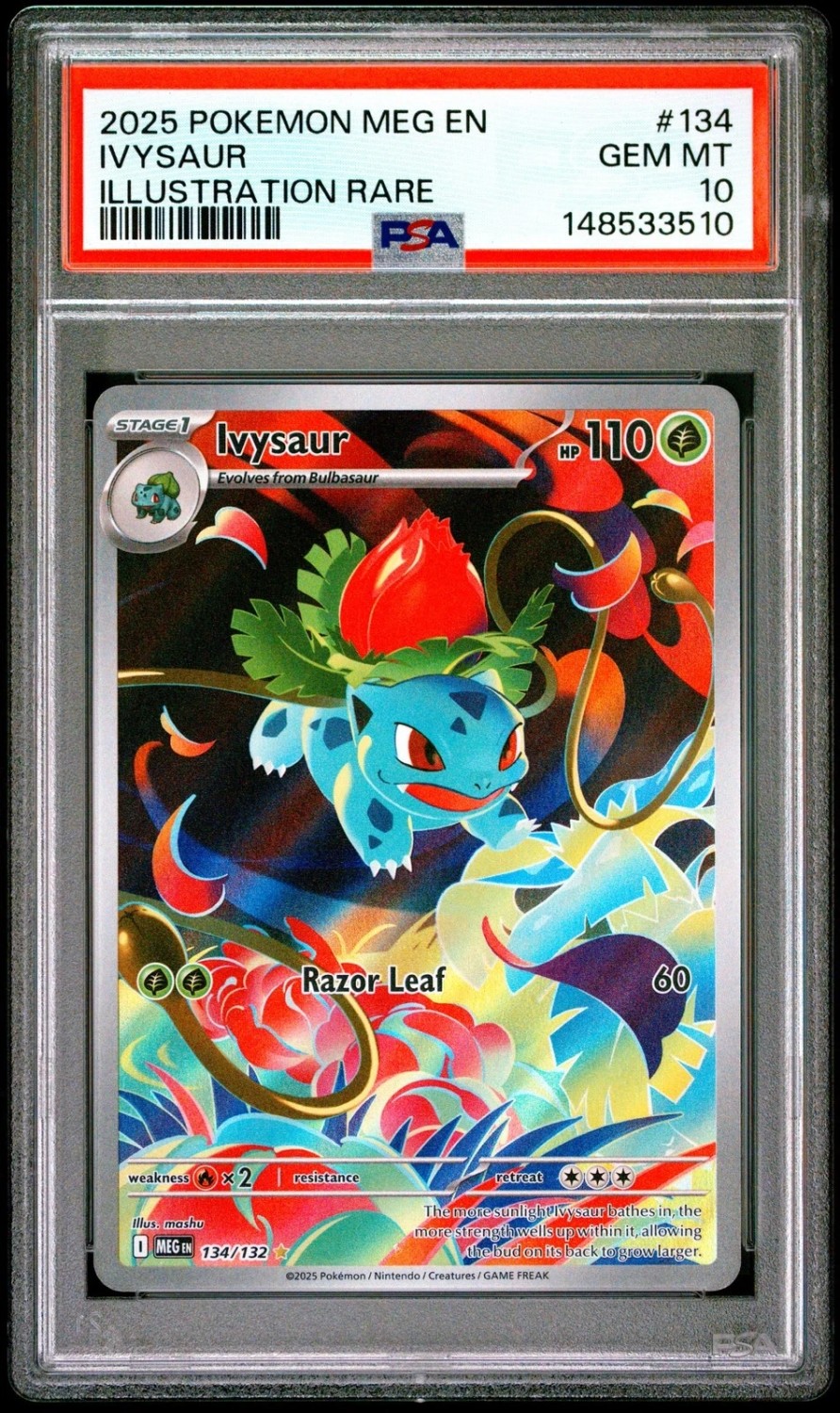 IVYSaur