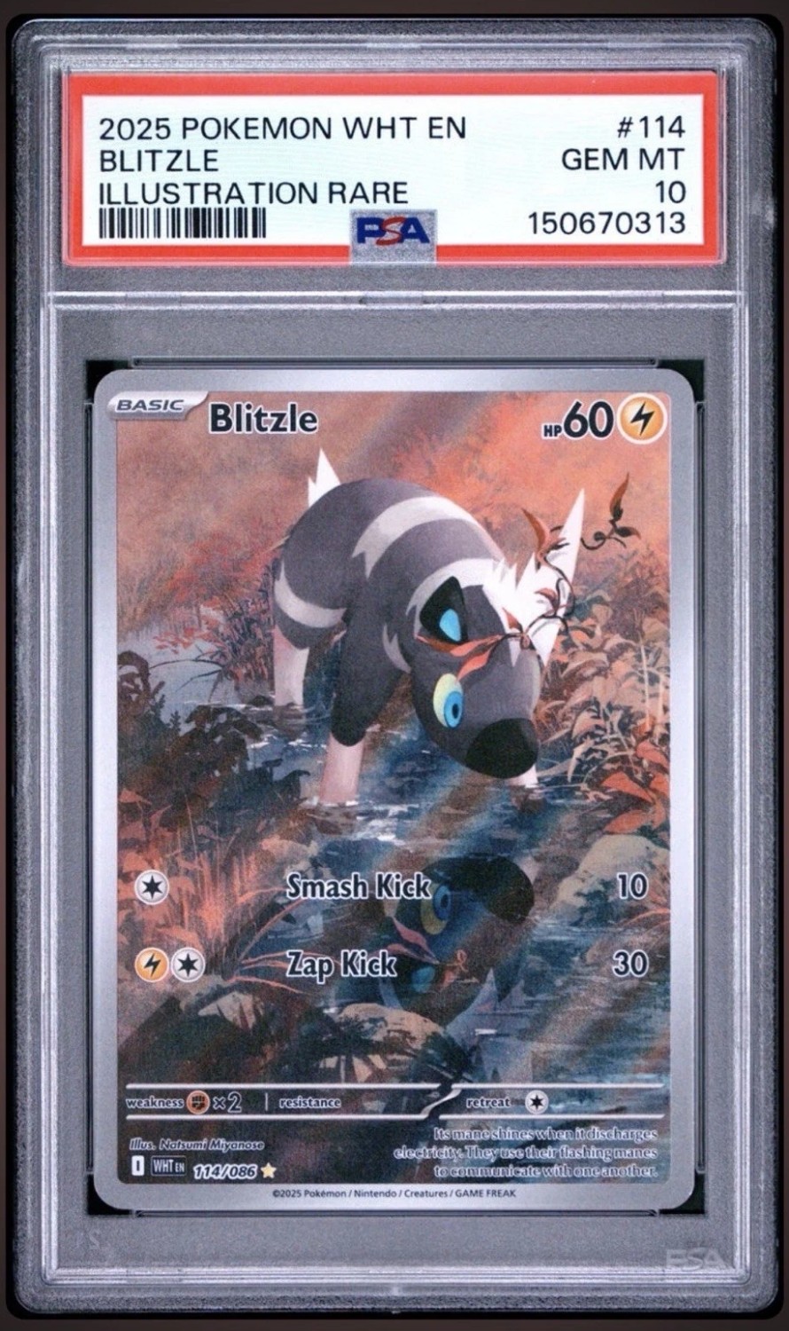 Blitzle