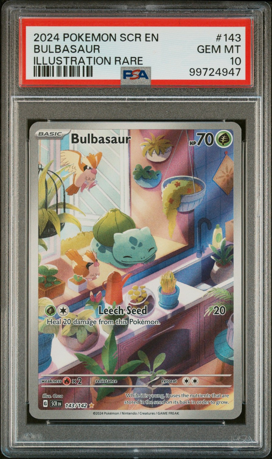 Bulbasaur