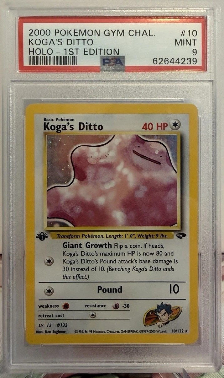 Koga's Ditto