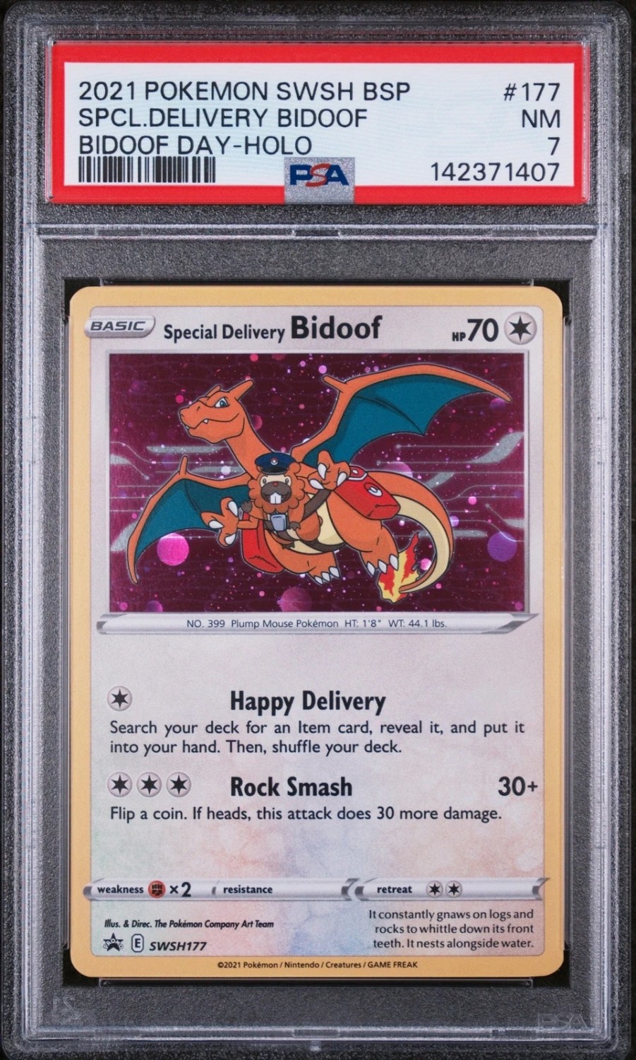 Special Delivery Bidoof
