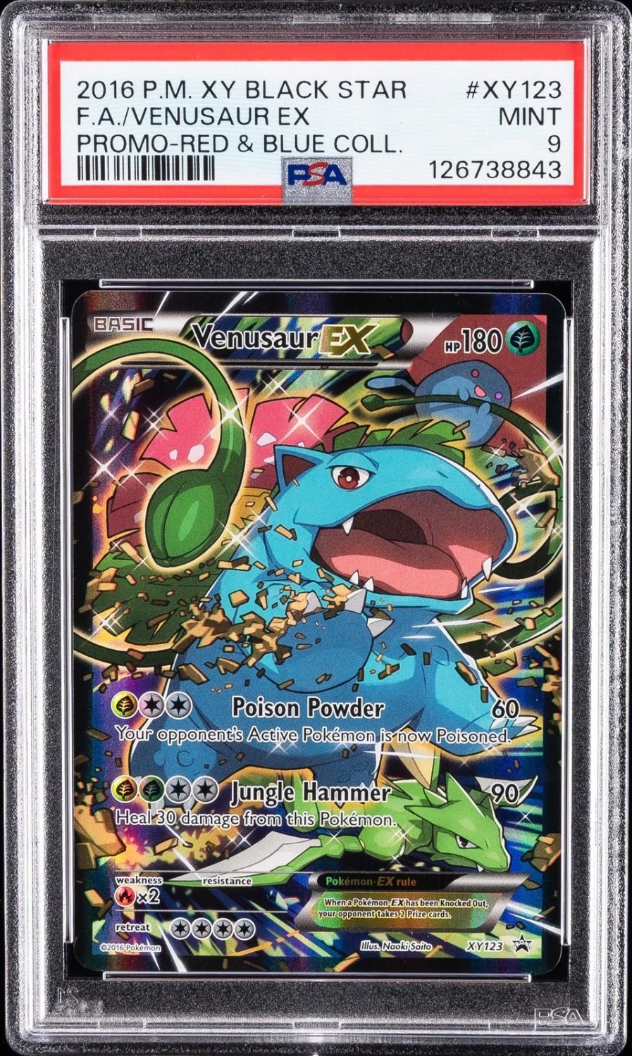Venusaur EX