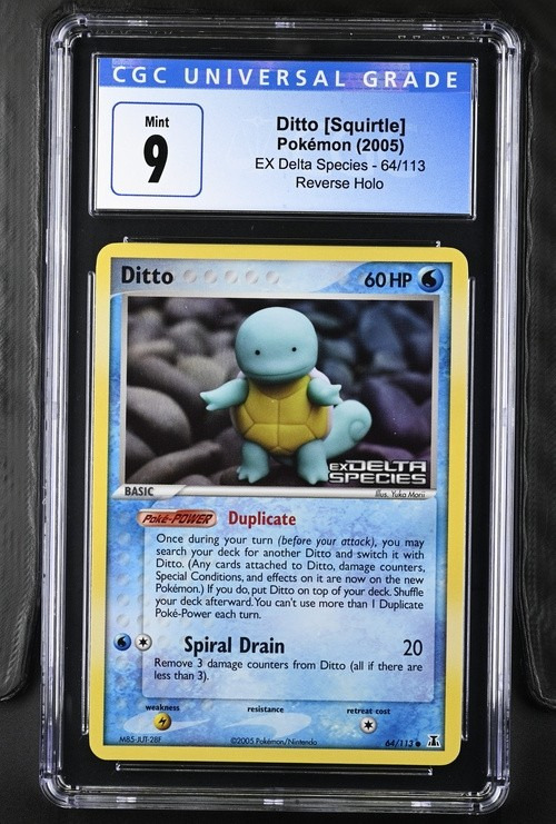 Ditto [Squirtle]