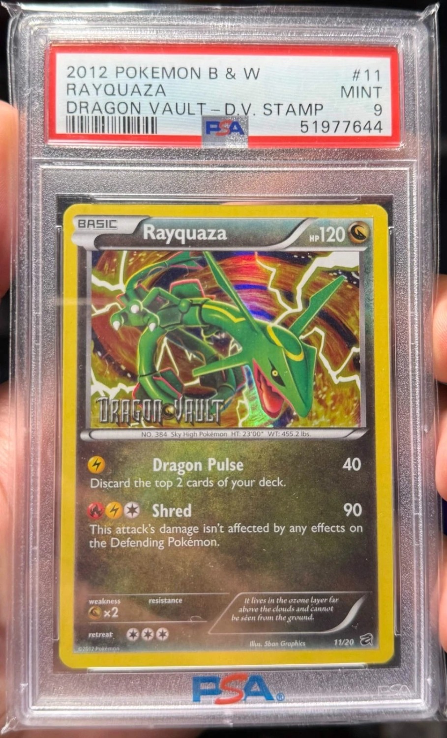 Rayquaza