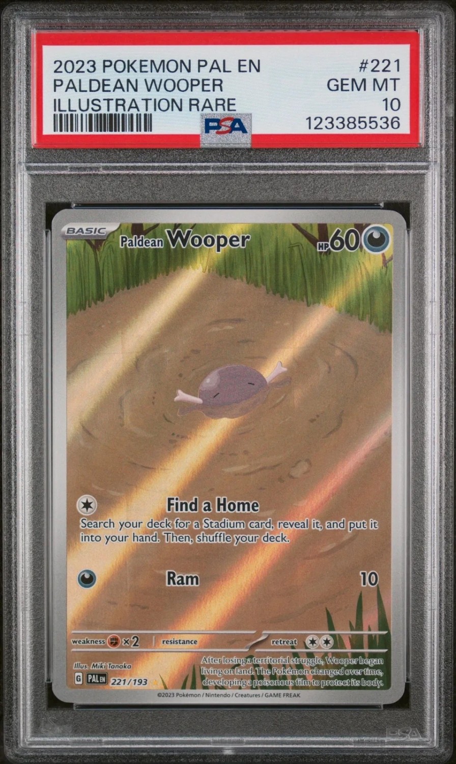 Paldean Wooper
