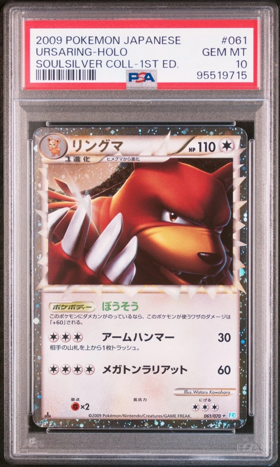 Ursaring