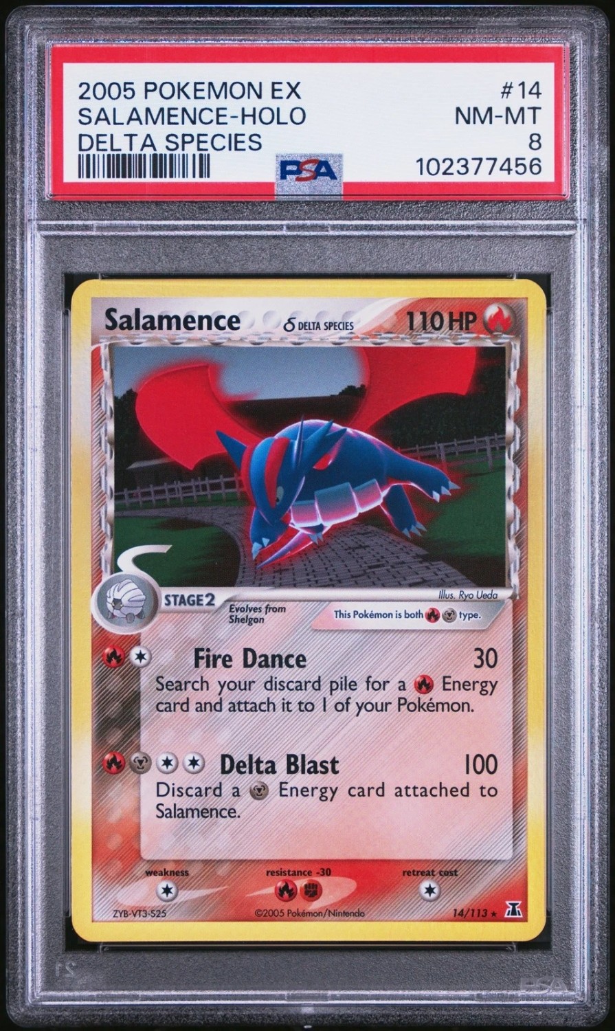 Salamence