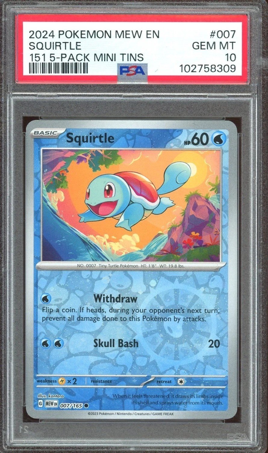 Squirtle