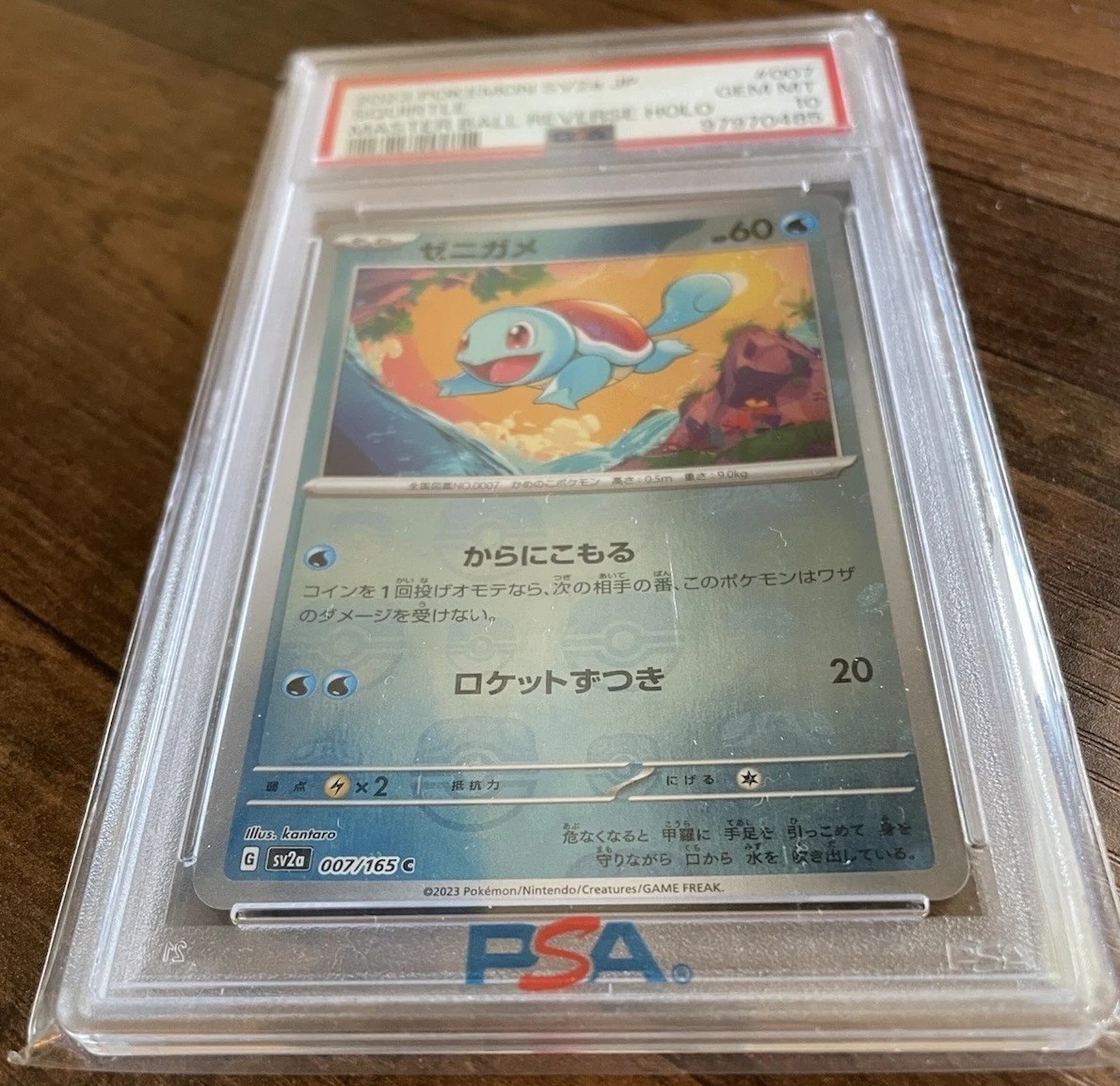 Squirtle